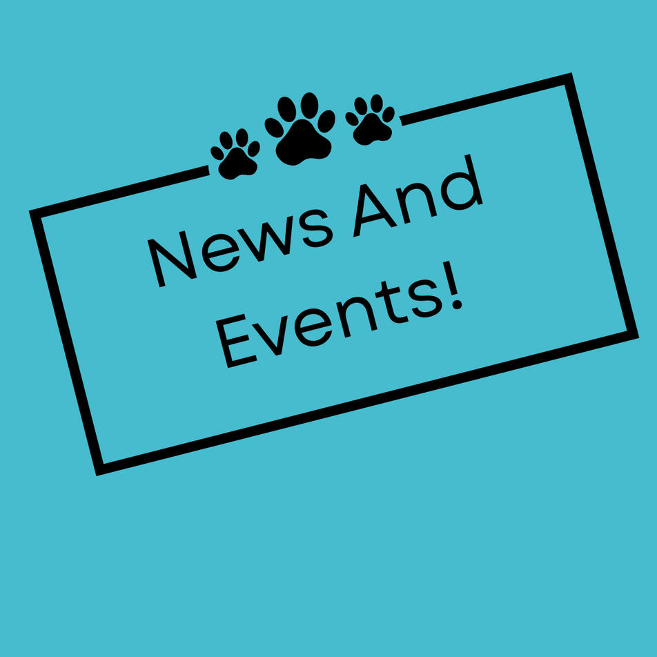 News and Upcoming Events